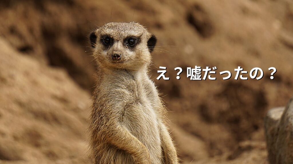 ミーアキャット「え?嘘だったの?」